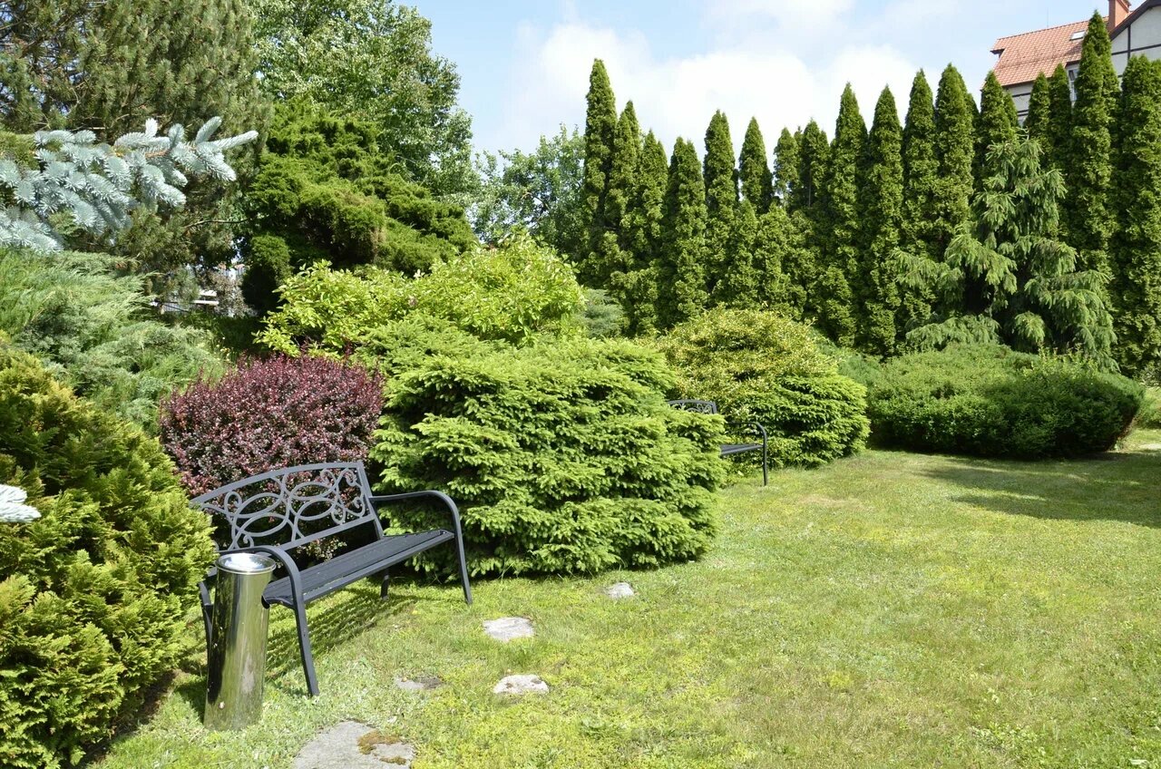 Гостиница Олимп Светлогорск