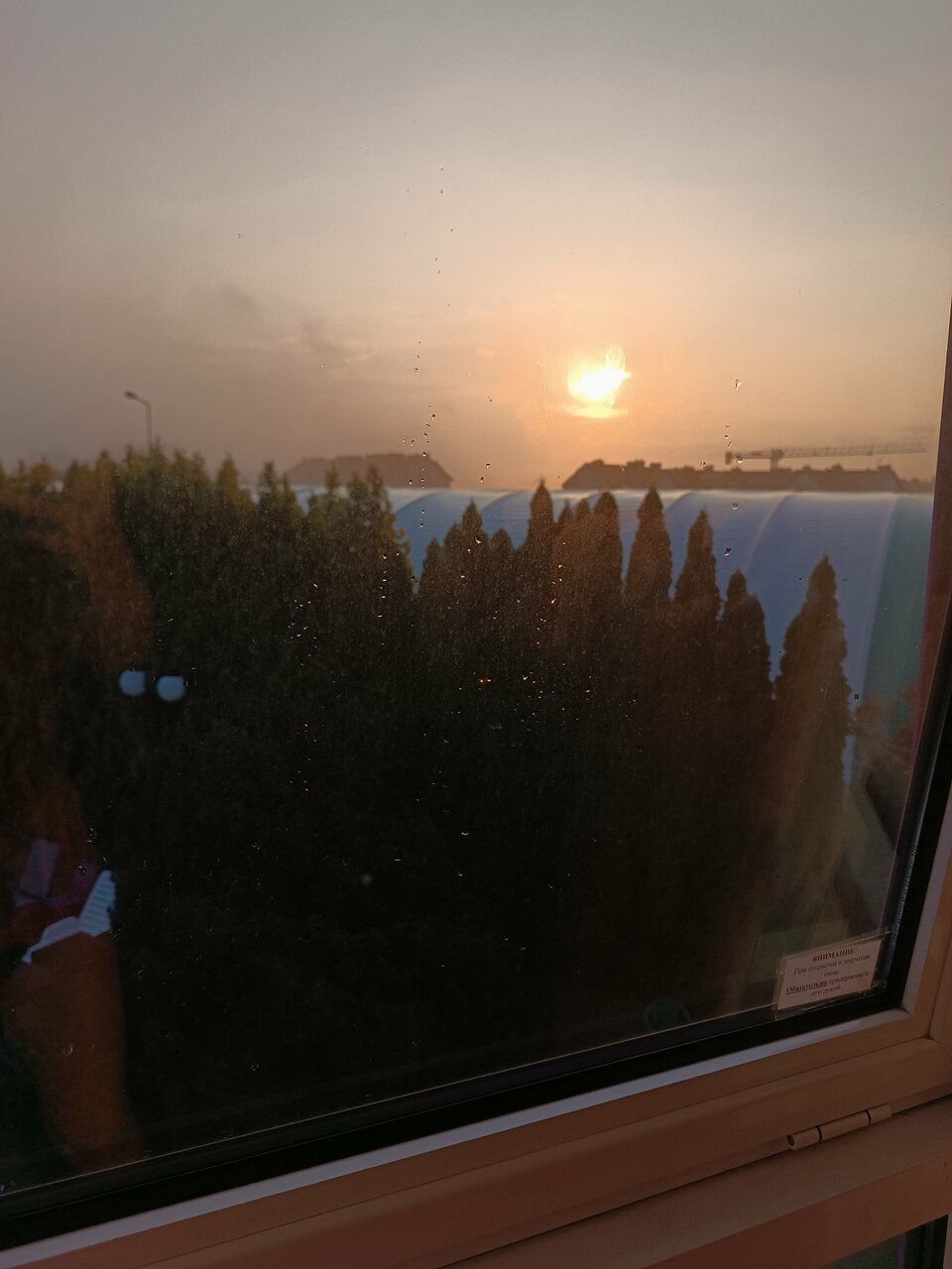 Гостиница Олимп Светлогорск-133