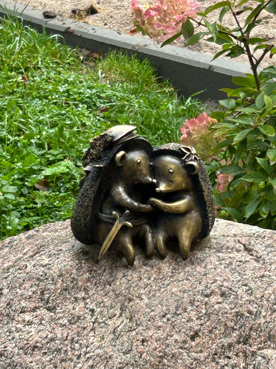 Гостиница Олимп Светлогорск-129