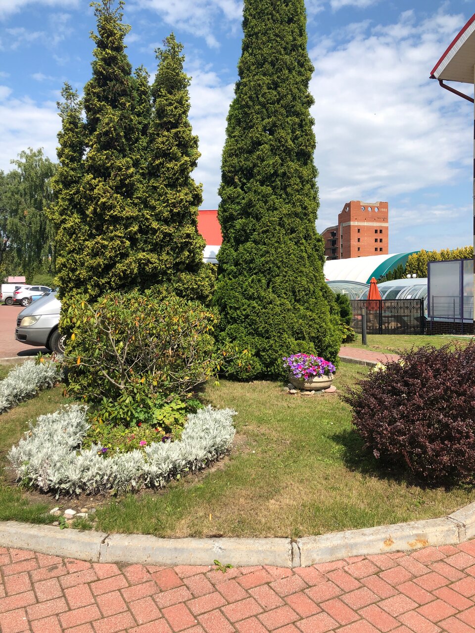 Гостиница Олимп Светлогорск-127