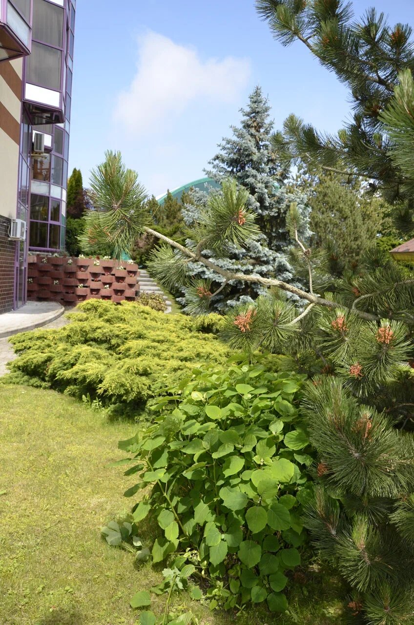 Гостиница Олимп Светлогорск-49