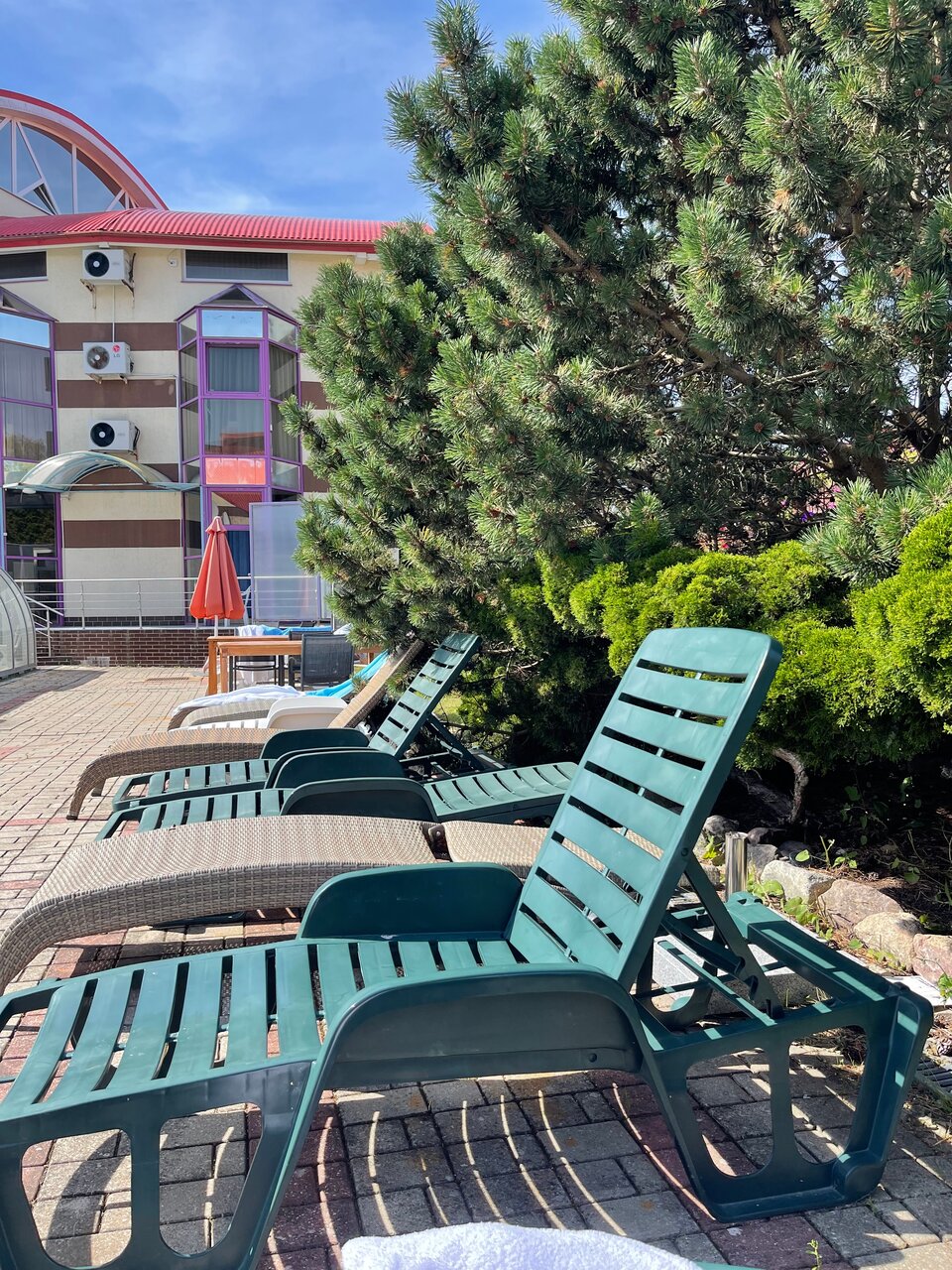 Гостиница Олимп Светлогорск-128