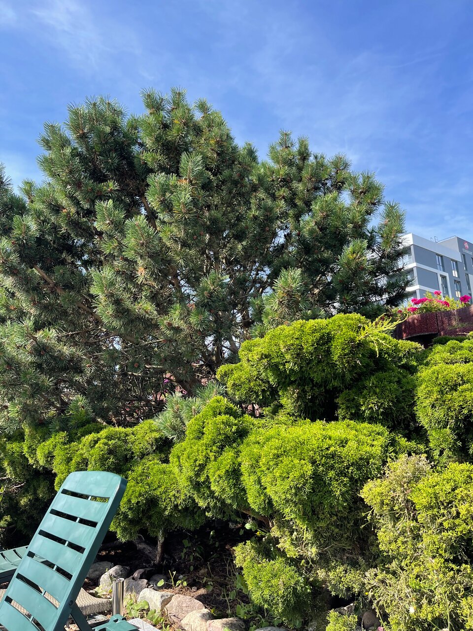 Гостиница Олимп Светлогорск-149