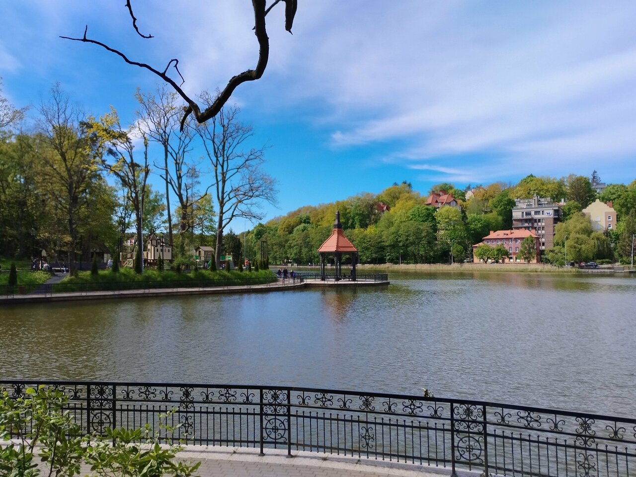 Гостиница Олимп Светлогорск-134