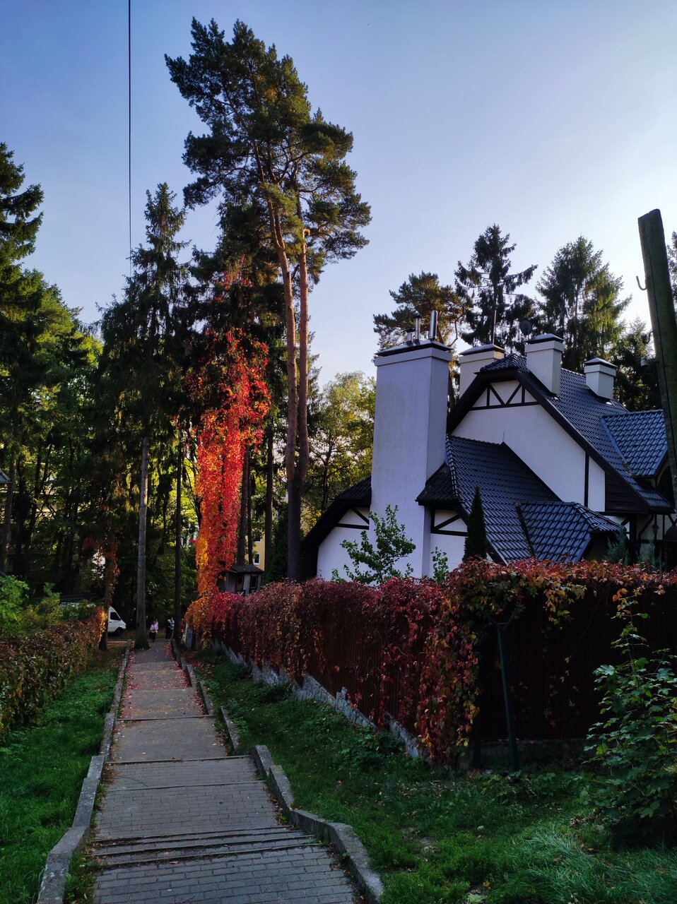 Гостиница Олимп Светлогорск-150