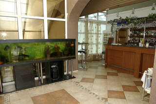 Гостиница Олимп Светлогорск-7