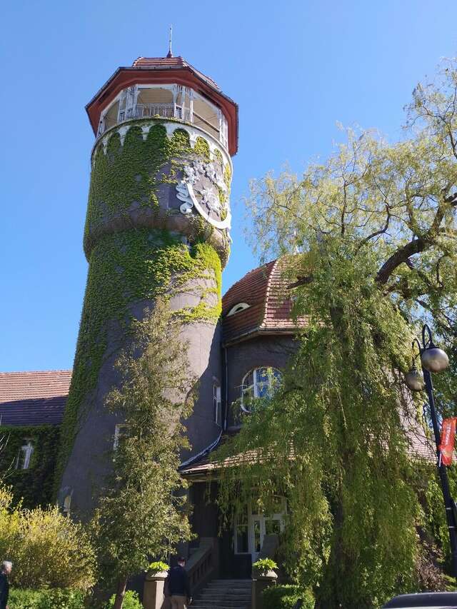 Гостиница Олимп Светлогорск-129