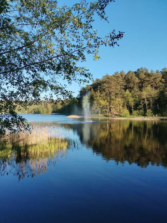 Гостиница Олимп Светлогорск-147