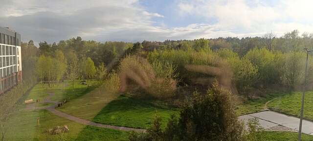 Гостиница Олимп Светлогорск-152