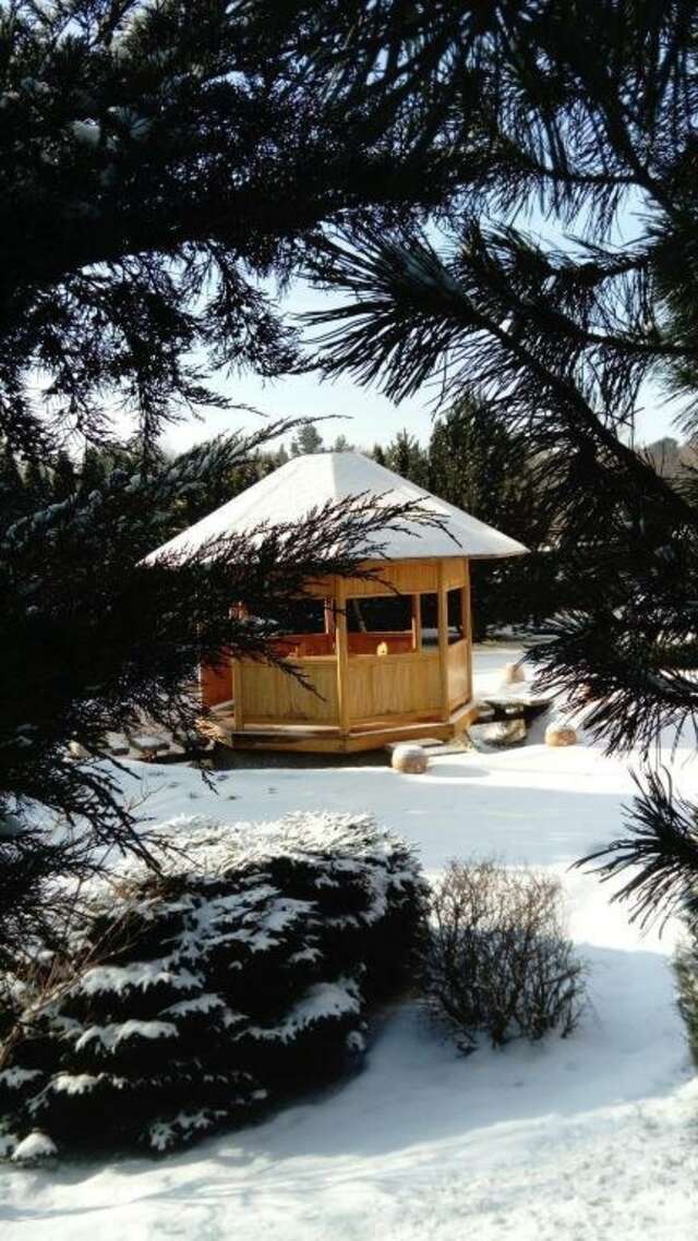 Гостиница Олимп Светлогорск-23