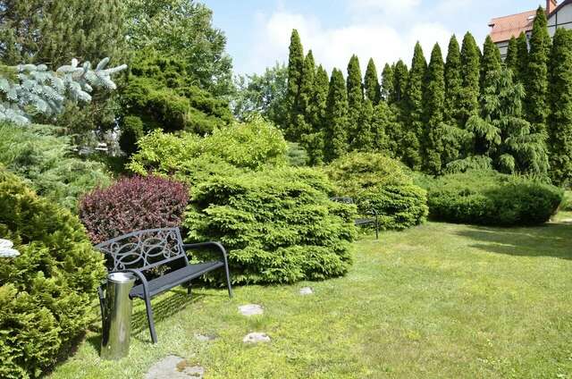 Гостиница Олимп Светлогорск-53