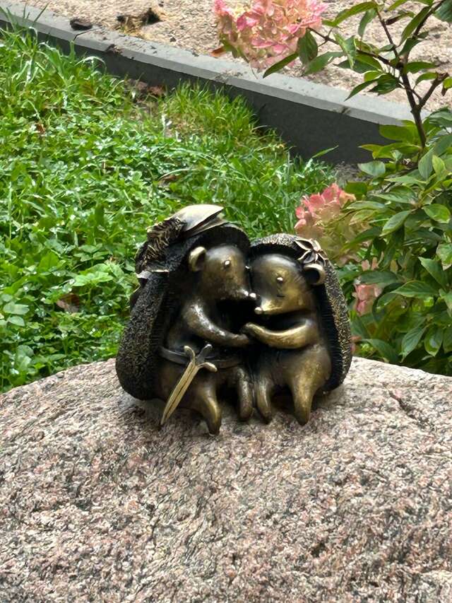 Гостиница Олимп Светлогорск-128