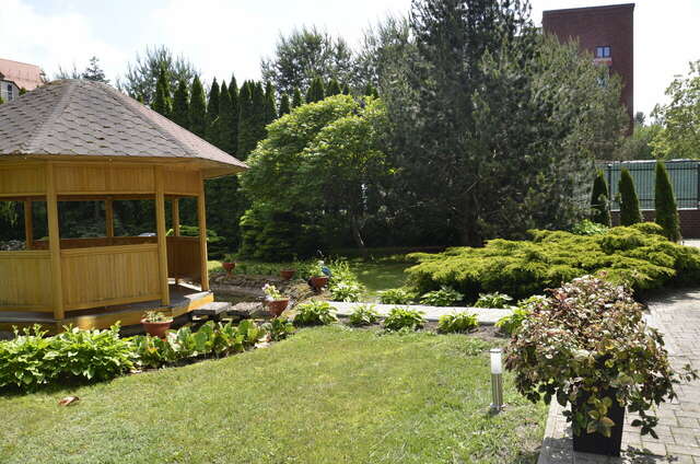 Гостиница Олимп Светлогорск-33