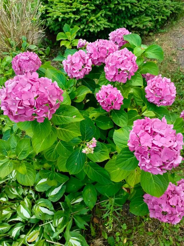 Гостиница Олимп Светлогорск-134