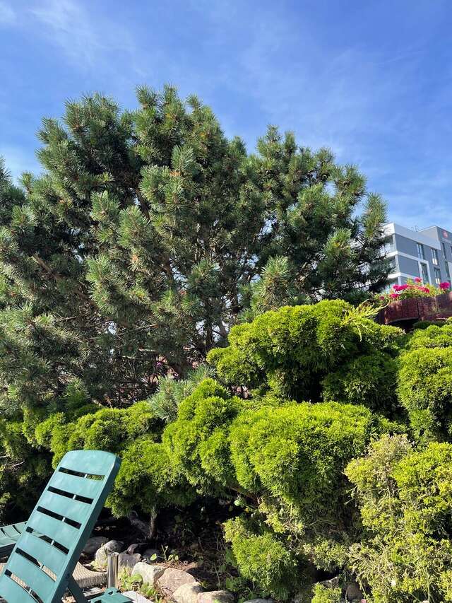 Гостиница Олимп Светлогорск-148